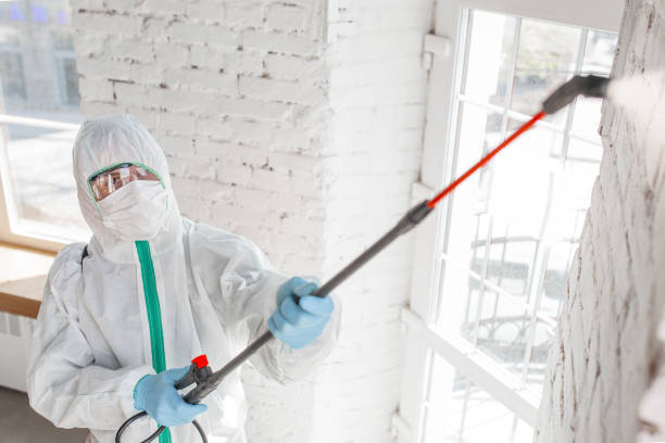 Best Mold Remediation for Healthcare Facilities  in Fowlerville, MI