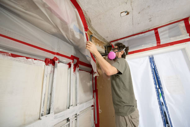 Best Post-Construction Mold Inspection  in Fowlerville, MI