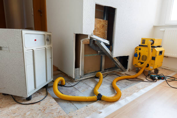 Best Crawl Space Mold Remediation  in Fowlerville, MI